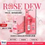 台灣現貨 E-inhaler 祖格 電子吸入器 草本香薰棒 霧化鼻通